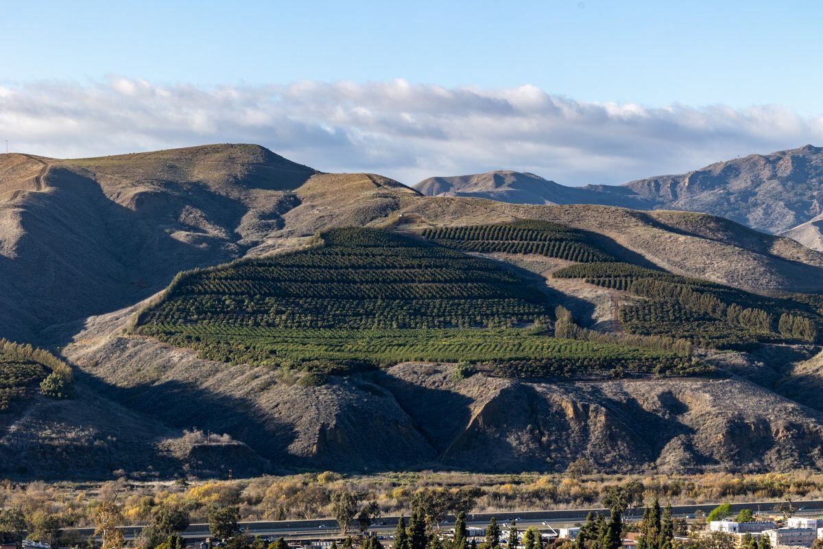 The hillside layout